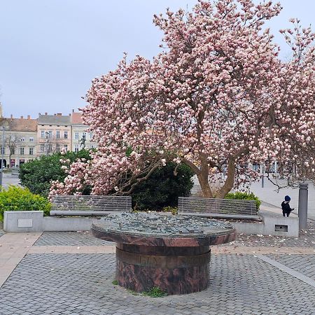 Szell 3 Apartman Apartment Szombathely Bagian luar foto