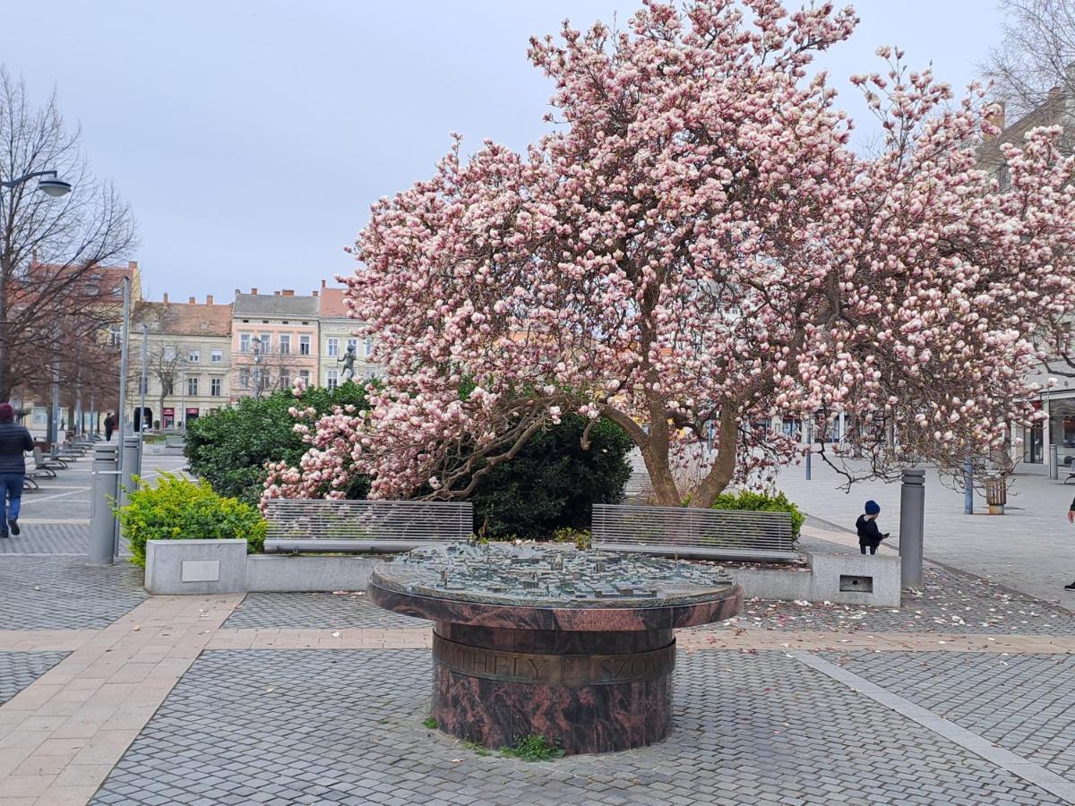 Szell 3 Apartman Apartment Szombathely Bagian luar foto